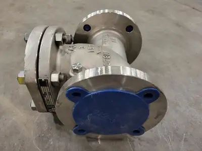 3", Class 150, Check Valve, B16.34