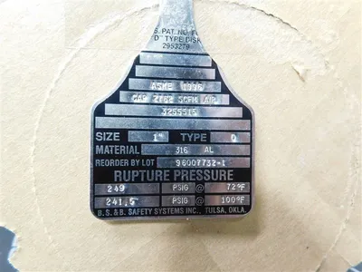 BS&B Safety Systems 1" 96007732-1 Rupture Disc 249 PSIG @ 72°F 3255515 New