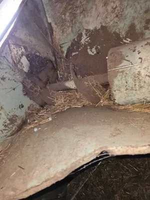 AUTOMATIC EQUIPMENT MFG ATG54B1800X4 FEED GRINDER | Iron Listing (7)