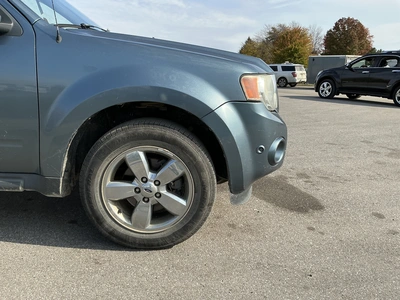 Used 2010 FORD ESCAPE Utility Vehicles Michigan US | Miedema Asset Management Group #1732718