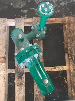 Fisher 249B 1.5" CL600 Level Troll