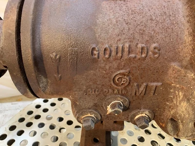USED GOULDS 3196MT