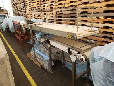 BEI 10' Flat Belt Conveyor
