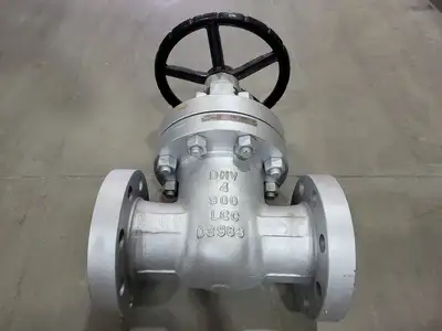 4" Class 900 Gate Valve B16.34