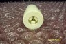 Used Leviton / Nema LS-20 / L6-30 Cable & Wire Arizona US | ASSET CONVERSION SPECIALISTS, INC. #320877