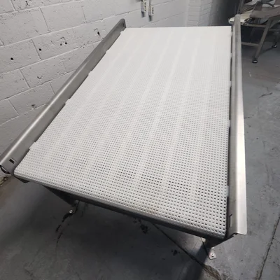 LACAL Sanitary Stainless steel conveyor Conveyor Elevator # 5572
