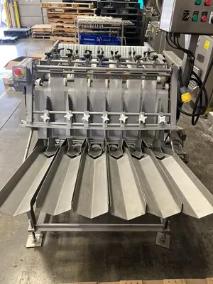 Used RMF PSNG.4 Patty Forming Machines Illinois US | M&M Equipment Corp. #1368340