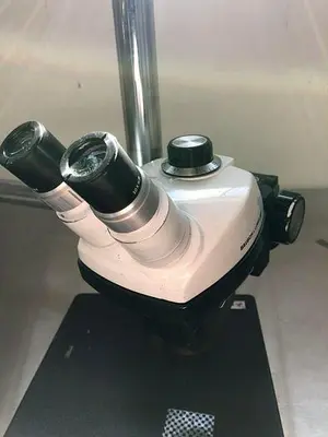 BAUSCH & LUMB STEREOZOOM 4 ZOOM RANGE 07X-30X