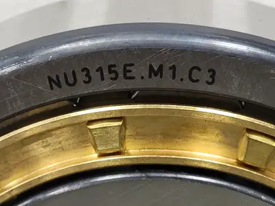 NEW FAG NU315E.M1.C3