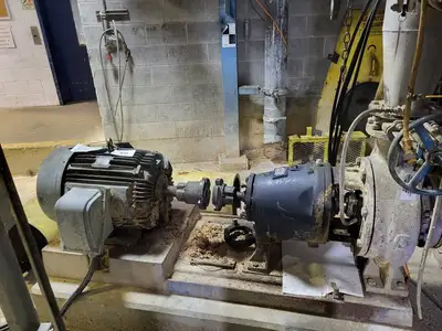 USED GOULDS 3175