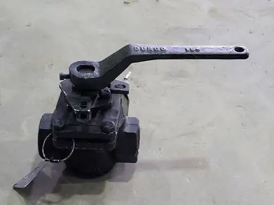 Size 1", Rating 300, Globe Valve PL-1596