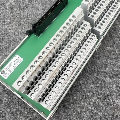 Used Allen-Bradley 1492-IFM40F-3 Input / Output Modules California US | Davliegogo LLC #1706762
