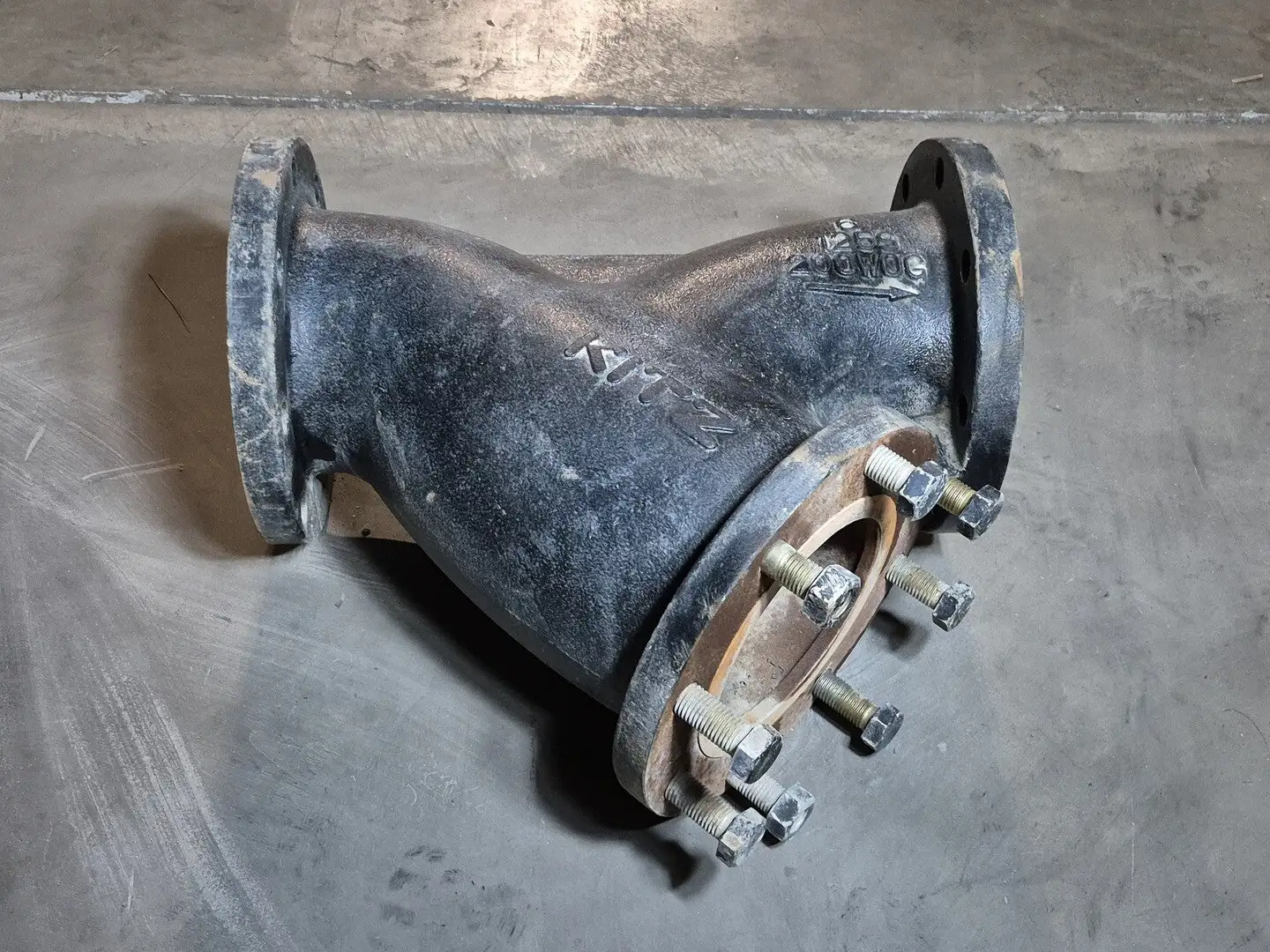 6" 125S 200 WOG Wye Strainer