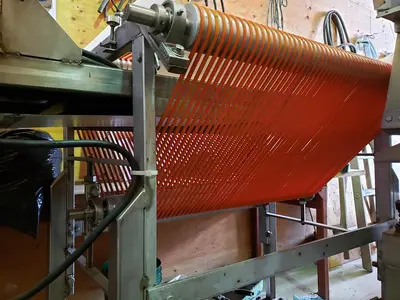 Fresh Berry Sizer
