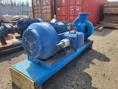 USED GOULDS 3196