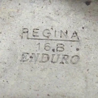 NEW REGINA 16B ENDURO CHAIN 147BS 194 LINKS 10' 3020-11-000-2782