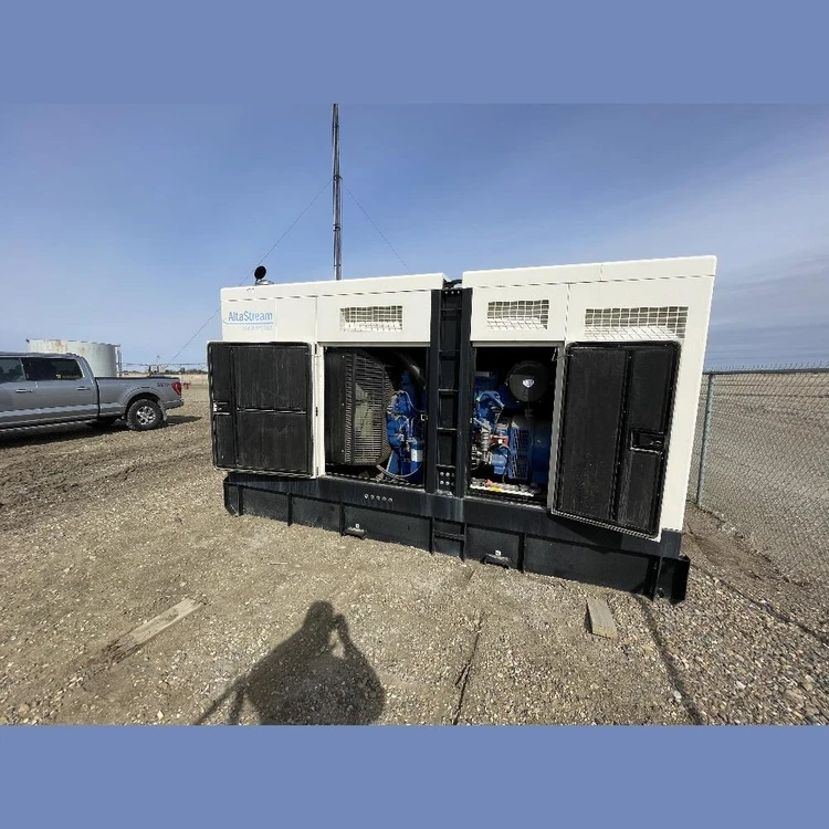 Used ALTASTREAM APPD-350 Portable Generators British Columbia CA | Savona Equipment LTD #1170336