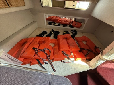 Used 1993 SEA RAY SUNDANCER 290 Boats (Misc) Michigan US | Miedema Asset Management Group #1340461