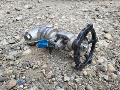 1" Class 800 Globe Valve API 602