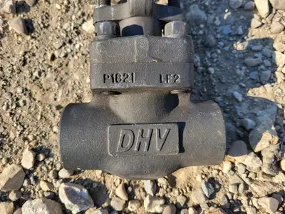NEW 2019 DHV F1801T73