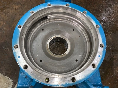 USED Goulds 3175