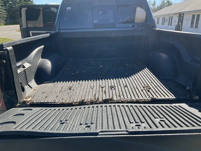 Used 2013 RAM 1500 Pickup Trucks Michigan US | Miedema Asset Management Group #1461403