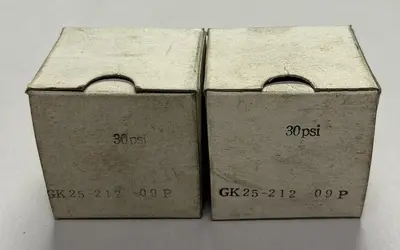 UNBRANDED,GK25-212-09P,GAUGE 0-30PSI LOT OF 2 NOS
