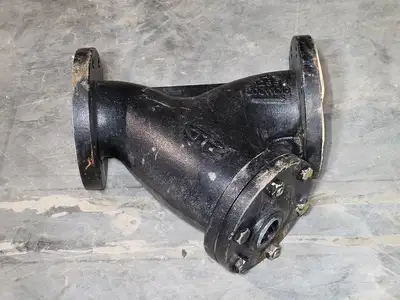 4" Class 125 Wye Y-Strainer