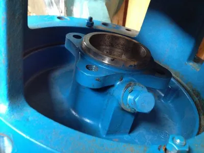 Goulds 3196 / Peerless Stuffing Box Size 10"