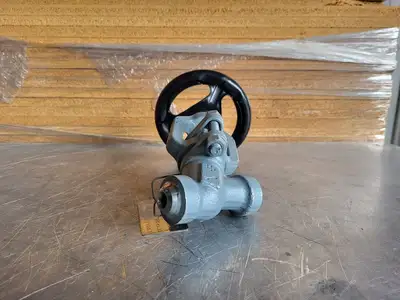 1/2" Class 900 Y-Pattern Check Valve B16.34