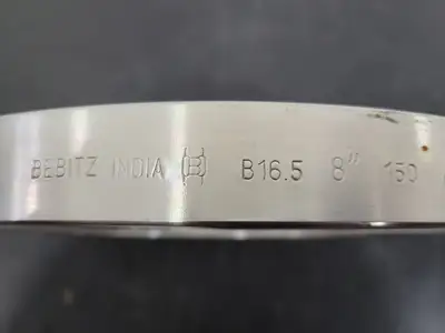 8" Class 150 Raised Face Slip On Flange B16.5 A/SA 182 F316/316L