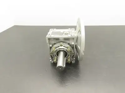 Jiangyin Guoliang NMRV040 Worm Gearbox 20:1 Reducer 75 RPM Hollow Shaft IEC 71