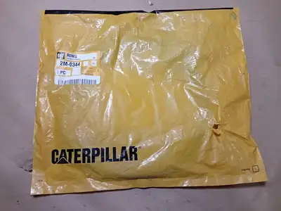 NEW 2010 CAT 2M-0344