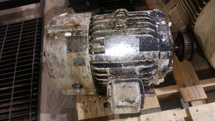 Used _UNKNOWN_ D06 99083643 001 F Motors (misc) Alabama US | Transamerican Equipment Company #702921