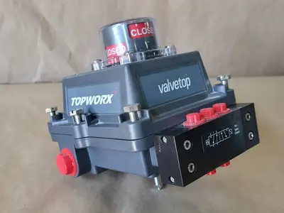 NEW TOPWORX DXP-E21GNEB7A21