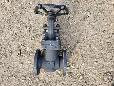 1" Class 150 Gate Valve API602