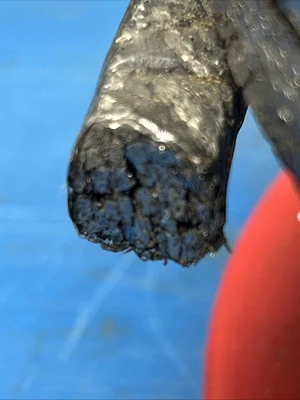 NEW AESSEAL 121432526