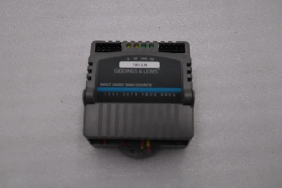 GIDDINGS & LEWIS M.1300.7372 R1 Input Module 24VDC SINK/SOURCE STOCK 625-D