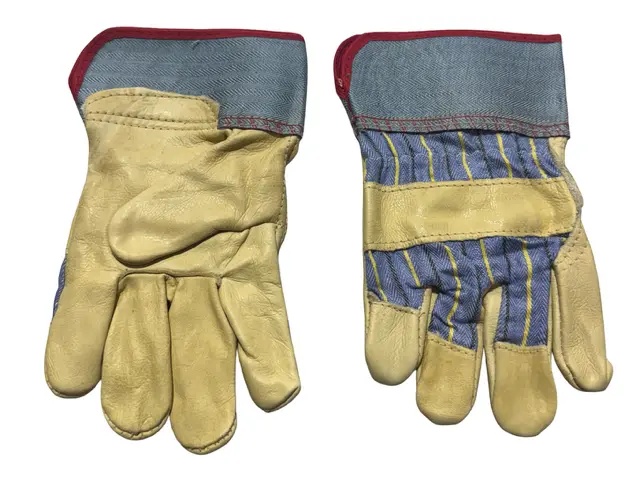 Wells Lamont Grain Leather Driver Glove Safety Cuff Size Small 1 Pair