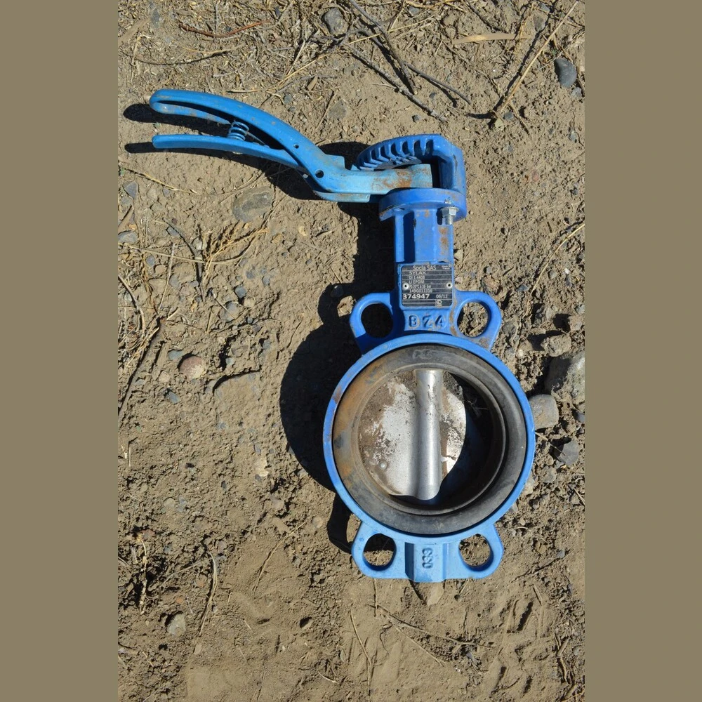 Socla SAS 4 in Butterfly Valve