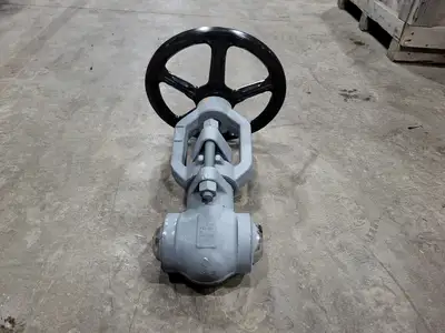 2" Class 1500 Globe Valve B16.34