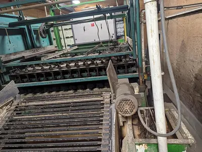 Pumpkin Squash Inspection & Cleaning Line