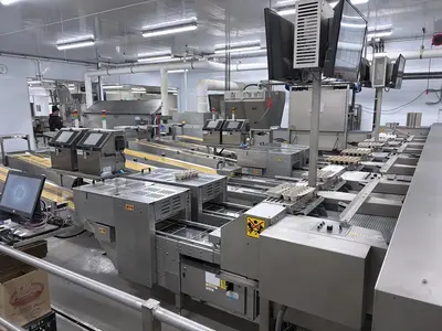 Used 2017 SANOVO 100 Egg Systems Illinois US | Machinery Marketing International #1314132