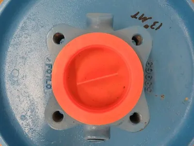13" Goulds 3196 Stuffing Box Cover, New