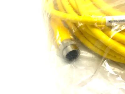 USED TURCK EUROFAST DOUBLE ENDED M12 CORDSET
