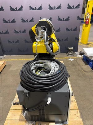 USED 2019 FANUC M-10iD/10L + R-30iB Plus