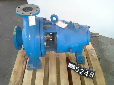 USED Goulds 3175