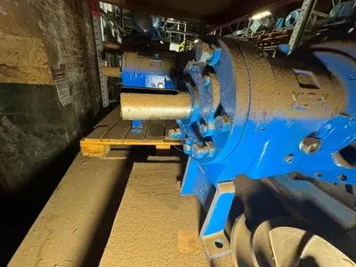 USED GOULDS 3196