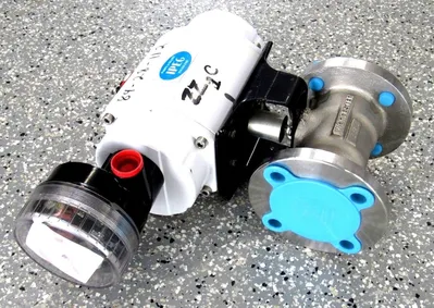 NEW FLOWSERVE 25M39WMS120-P-BC-T2456 CONTROL VALVE 25M39WMS120PBCT2456