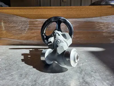 3/4" Class 900 Y-Pattern Check Valve B16.34